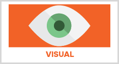 Visual learning styles 