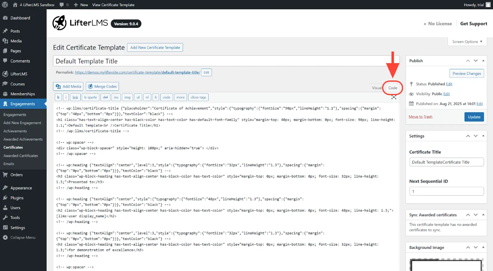 Template open in Code tab of classic editor