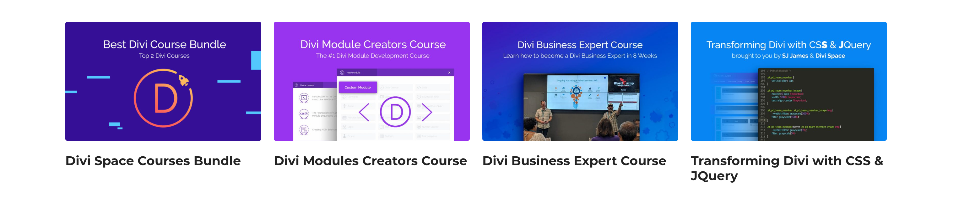 WordPress_and_Divi_Courses_-_Online_Courses_from_Beginner_to_Expert