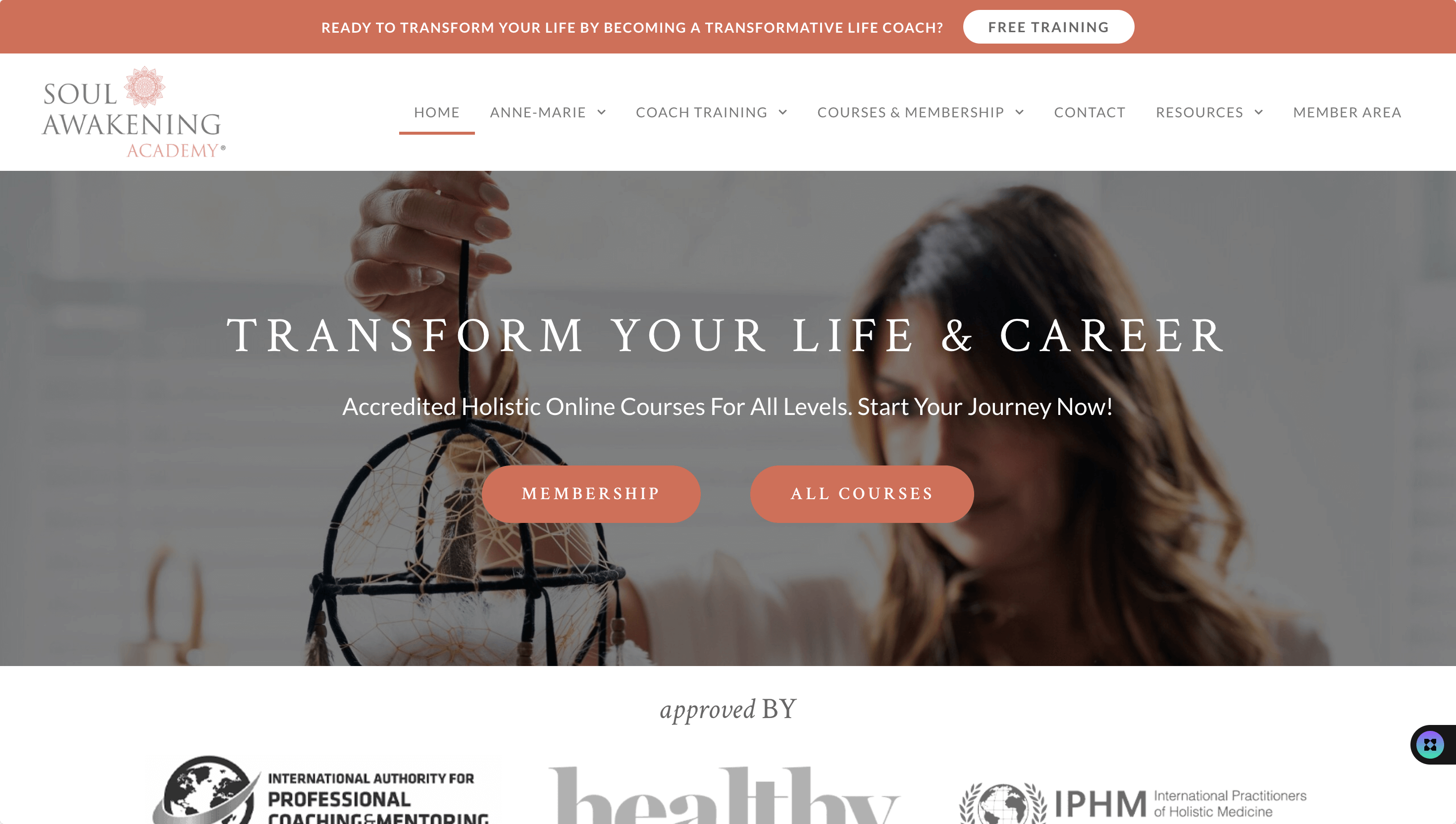 Screenshot of Showcase Item Home Page