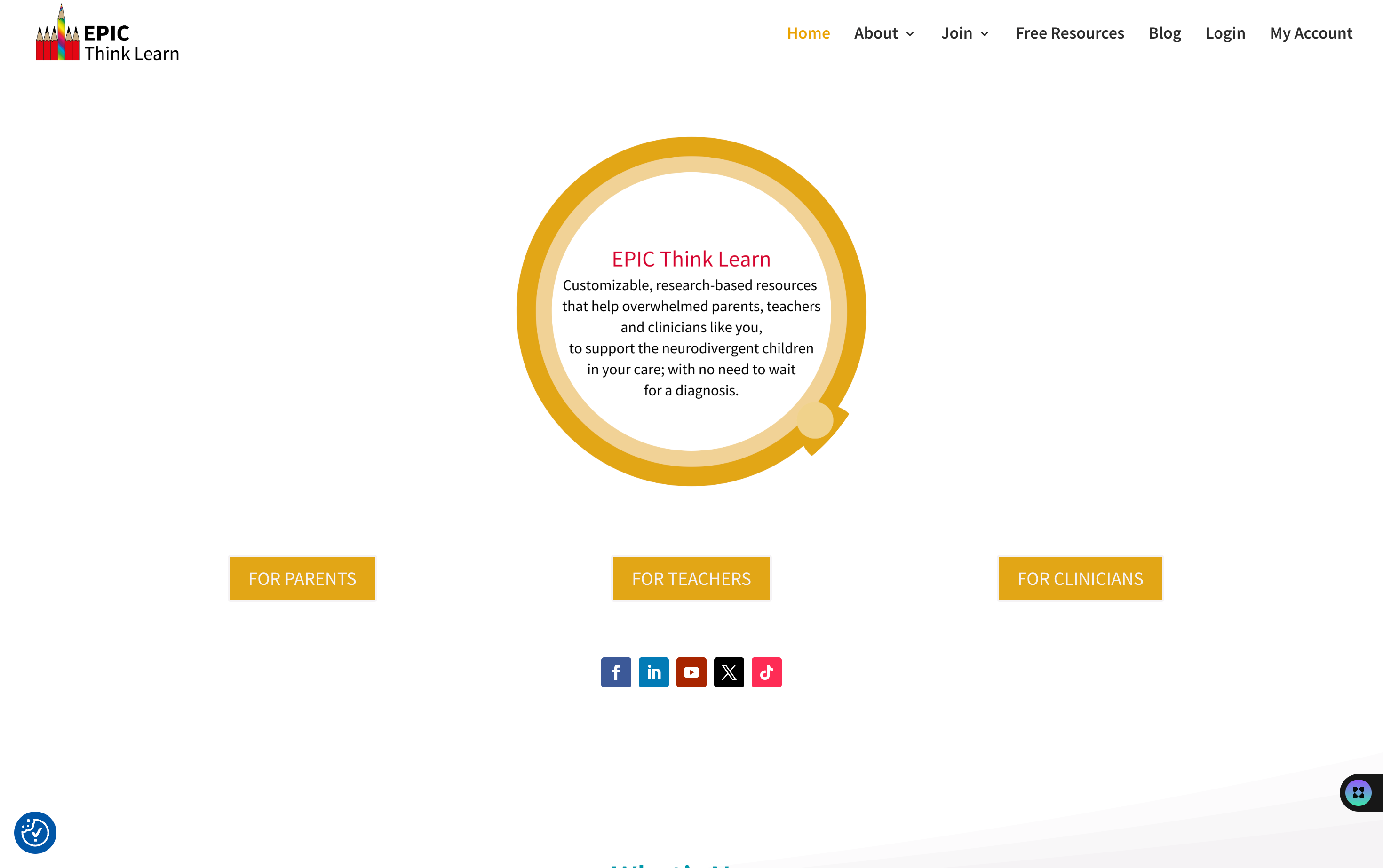 Screenshot of Showcase Item Home Page