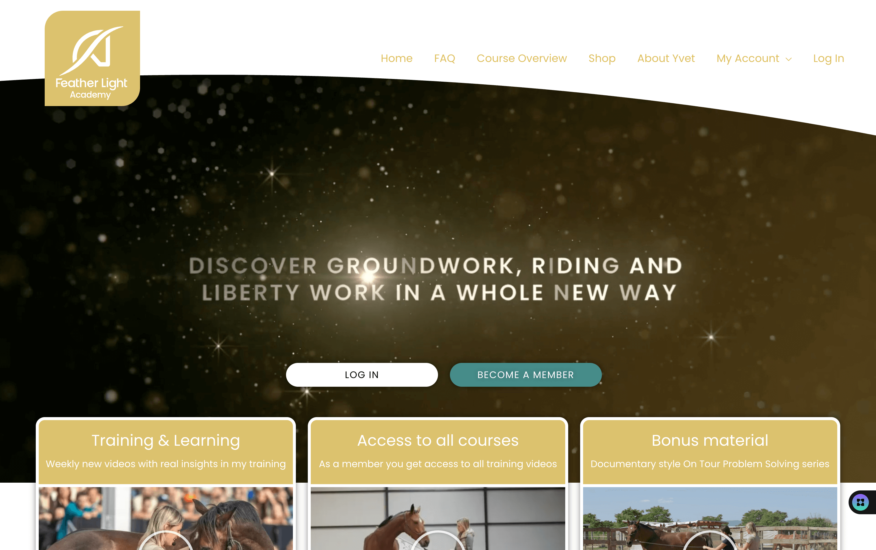 Screenshot of Showcase Item Home Page